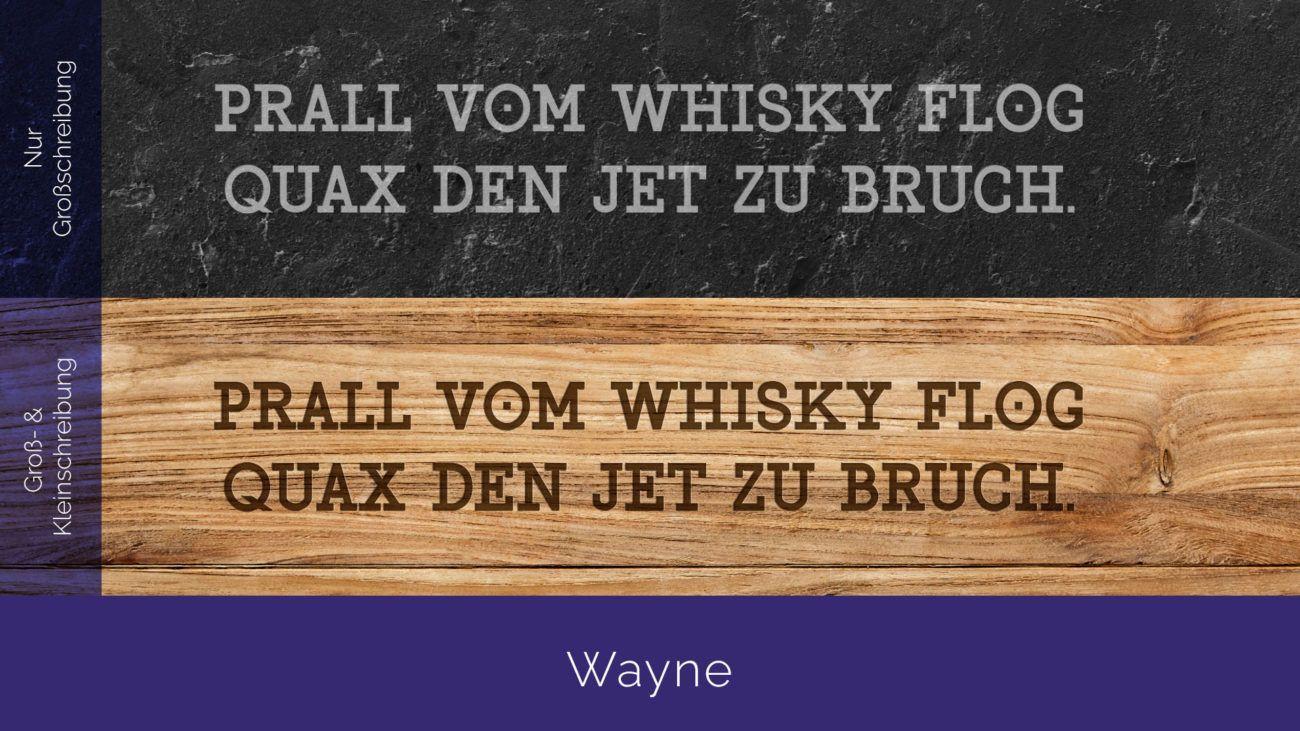 Font_Gallery_Wayne