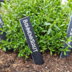 Schiefer Pflanzstecker / Pflanzschild 20x3 cm